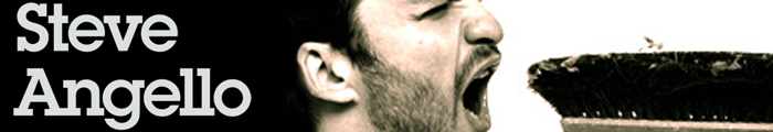 who is steve angello swedish house mafia