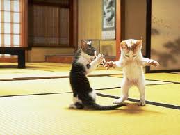 dancing kittens